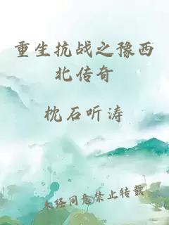 重生抗战之豫西北传奇